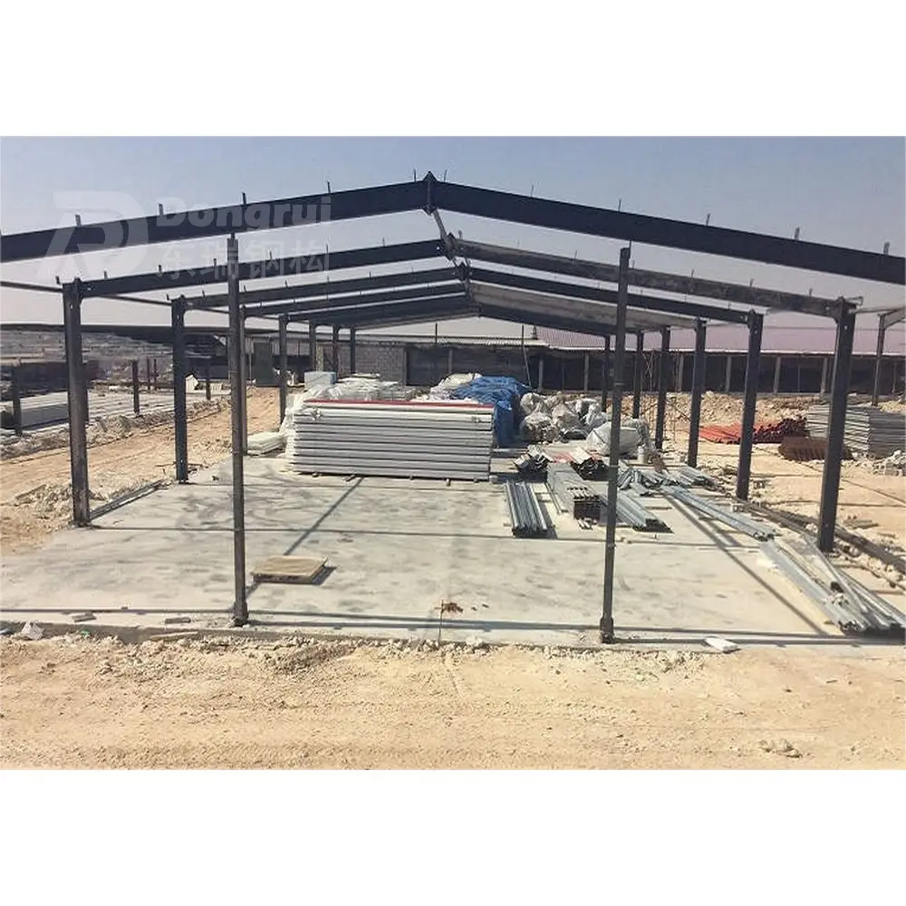 customized steel structure automatic hen house building layer house fabricators