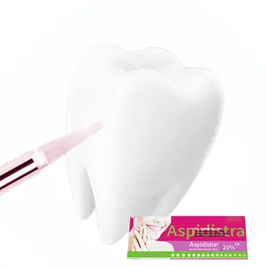 Convenient Multi-Flavor Non Peroxide 16% 35%CP 3 Ml Remove Stains Plaque Efero White Teeth Whitening Pen Office Use