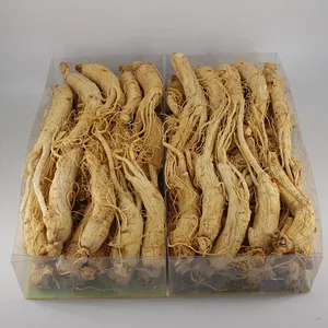 Groothandelsprijzen Hoge Kwaliteit Voedzame Capsules Van Ginseng /Ginseng Extractie/Panax Ginseng