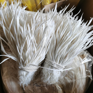 Plumes de <span class=keywords><strong>Biot</strong></span> d'Oie Sélectionnées de 6 à 9 pouces, Plusieurs Couleurs, pour la Confection de Mouches, la Fabrication de Chapeaux et la Décoration de Mode (Vente en Gros) - Product Image 4