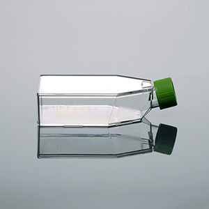 <span class=keywords><strong>Laboratorio</strong></span> <span class=keywords><strong>de</strong></span> alta calidad <span class=keywords><strong>de</strong></span> plástico matraz <span class=keywords><strong>de</strong></span> <span class=keywords><strong>erlenmeyer</strong></span> con tapas - Product Image 4