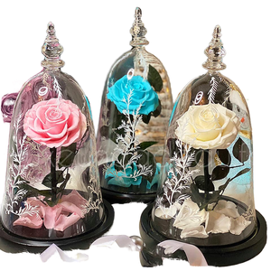 Rose éternelle préservée au toucher réel, longue durée (3-5 ans), sous cloche en verre, décoration pour la Saint-Valentin - Product Image 1