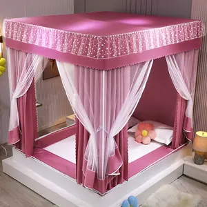 The princess wind Delicate Lace double layer dream Bed mosquito net