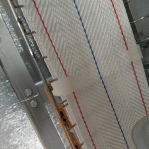 Gevogelte Kippenlaag Kooi Ei Transportband - Product Image 2