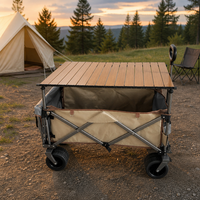TianJing Sky Chariot pliable en acier au carbone pour camping, pêche, pique-nique, stand de vente, avec roues pivotantes et ouverture arrière, garantie 3 ans