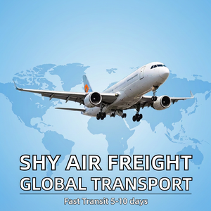 Azienda di Spedizioni DDP di Shenzhen Offre Servizi di Trasporto LCL+Express dalla Cina agli Stati Uniti - Product Image 3