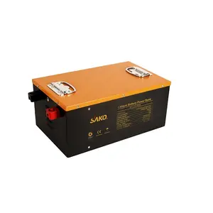 Lithium Ion Batteries 24V 200AH LiFePo4 Battery with BMS and Equalizer Built Inside