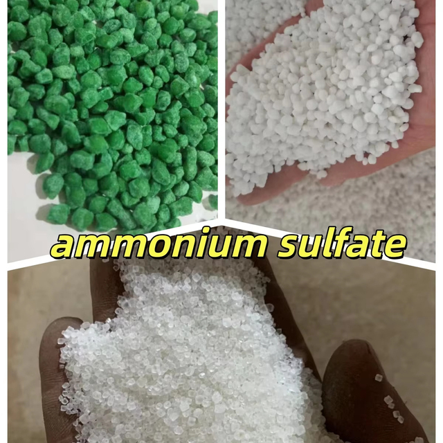 Man Heart Capro Grade Ammonium Sulphate Granular Agricultural Fertilizer 99% Purity Quick Release Nitrogen Fertilizer NPK 21-0-0