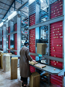 Système <span class=keywords><strong>de</strong></span> cages automatiques en H pour poules pondeuses, en acier galvanisé, élevage haute densité, optimisation <span class=keywords><strong>de</strong></span> l'espace, garantie 1 an - Product Image 1