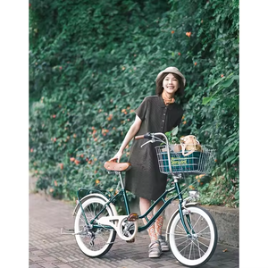 <span class=keywords><strong>Bicicleta</strong></span> Urbana de 6 Velocidades de Acero con Alto Contenido de Carbono para Hombres y Mujeres, <span class=keywords><strong>Bicicleta</strong></span> Urbana para Adultos con Ruedas de 20 Pulgadas de Acero con Alto Contenido de Carbono - Product Image 2