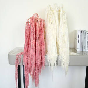 Commercio all'Ingrosso 5 Pezzi Piante Naturali Fiori di Amaranto Pendulo Conservati Amaranthus Caudatus per Decorazione di Matrimonio - Product Image 3
