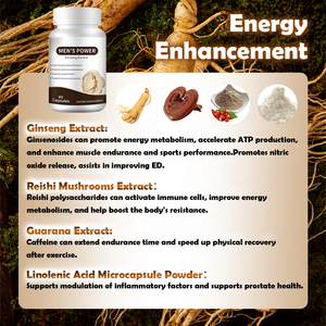 OEM Ginseng Capsules voor Mannen, Natuurlijke Energiebooster, Krachtige Pillen ter Ondersteuning van de Mannelijke Kracht en Reishi-extract - Product Image 2