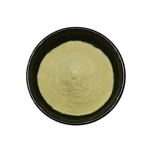 Best Choice Natural Rutin Powder CAS 153-18-4