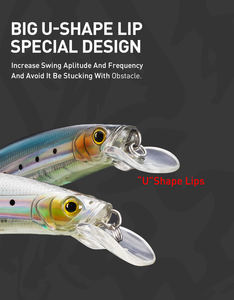Señuelos de Pesca Kingdom Floating Minnow, 100 mm 20.7 g, 120 mm 30 g, Señuelos de Pesca Profesionales para Curricán, Señuelos Duros para Agua Salada, Crankbaits - Product Image 6
