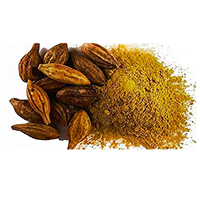 Ekstrak Kering Botani Premium Picrorhiza Kurroa Kutki Kadu, Ekstrak Tanaman Alami untuk Kualitas Makanan, Kosmetik, dan Minuman