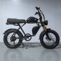 Lot d'usine 20 pouces vélo électrique motoneige plage pneu large Double batterie 48V moteur central moto à assistance électrique