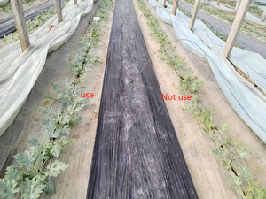 Acide aminé chélaté Ca Calcium Fe Fer Mg Magnésium Mn Cu Cuivre Zn Zinc oligo-élément Engrais en poudre - Product Image 4