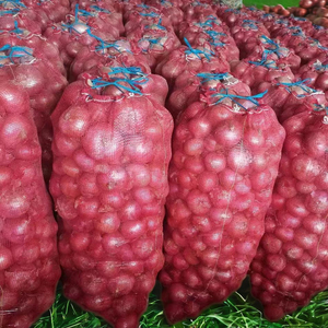 Bền Chất Lượng Cao Hành Tây Bao Bì Túi Khoai Tây Tỏi Tươi Gừng Cam Màu Xanh Lá Cây Đậu Đậu Phộng Củi Bao Bì Túi - Product Image 6