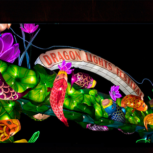 Fiestas y festivales chinos Carnaval para espectáculo/the Leaping Dragon Millennium Lantern - Product Image 5