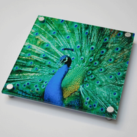 Panneau d'affichage en acrylique personnalisé, transparent, recyclable, durable, impression UV, résistant à l'eau, haute résolution