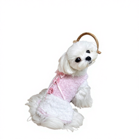Vêtements pour animaux de compagnie, chien, chat, princesse, laine, automne et hiver, veste mignonne en velours de vison, veste chaude en fausse fourrure, pull pour petit et moyen chien