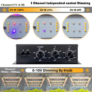 Luz de cultivo LED de 3 canales con horario inteligente de 240W con LM301H EVO equilibrado PPFD 4 + 2 Bar luces de cultivo de interior de espectro completo 320W - Product Image 6