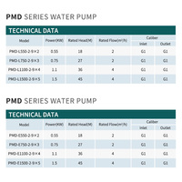 Pompe à eau horizontale à impulsion en cuivre haute pression 0,75 CV, 1 CV, 1,5 CV, 2 CV pour maisons familiales, transfert de liquides et processus de production de boissons