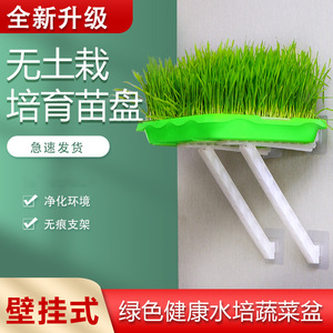 <b>Plastic</b> vegetable growing pots, balcony bean sprout seedling <b>trays</b>, hydroponic vegetable germination pots, sprouting pots with - Product Image 4