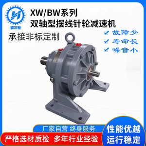 Réducteurs cycloïdaux à roue dentée XW/BW à double arbre, changements de vitesse planétaires, utilisés dans les machines industrielles, approvisionnement direct d'usine - Product Image 5