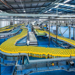 Ligne complète automatique/semi-automatique haute efficacité <span class=keywords><strong>Lazen</strong></span> pour la production de jus de mangue - Product Image 6