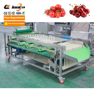 Máquina Clasificadora y Calibradora de Cerezas, Limones, Piñas y Aceitunas Industriales, con Rodillos Transportadores - Product Image 1