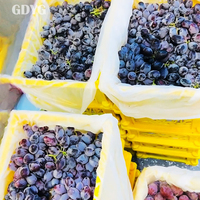 Exportkwaliteit diepvriesfruit zonder toevoegingen OEM Private Label stabiele volle containerlevering/premium IQF diepvries zwarte bessen
