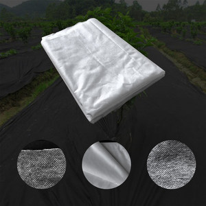Bâche de protection hivernale économique en tissu PP + UV 17 g/m² pour jardin - Product Image 5