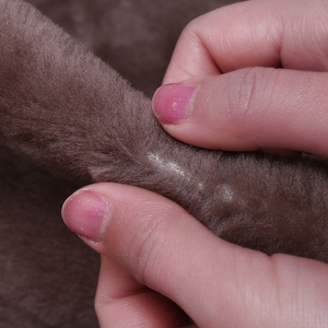 Piel de nutria de lana densa australiana genuina, placa de piel de oveja curtida para forro de zapatos, cinturones versátiles, muebles, sofás, prendas - Product Image 4