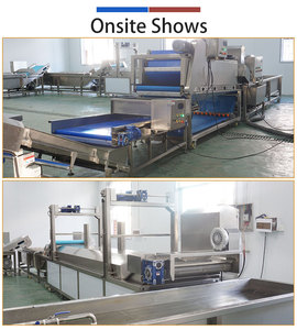 Ligne de traitement commerciale pour légumes verts congelés (Saagpalak, épinards) : lavage, découpe, séchage, blanchiment et congélation - Product Image 4