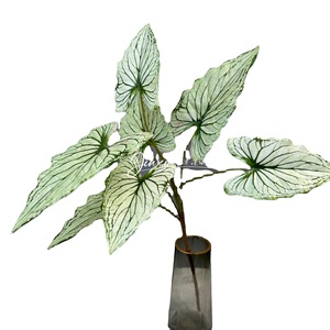 Plante artificielle Calathea Jinxi, verdure pour décoration de mariage, décoration intérieure, feuilles en plastique haute simulation - Product Image 5