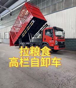 China Dongfeng <span class=keywords><strong>6X2</strong></span> Nuevo camión de transporte Camión volquete de barra alta Transmisión automática Cámara trasera de combustible diésel Venta de precio bajo de fábrica - Product Image 6