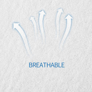 Cloudland Duplo Queen Size Inverno Cama Protetor Colchão Impermeável e Respirável Terry Algodão Tipo Cama Mat - Product Image 4