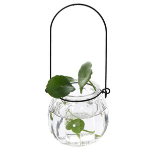 Botellas de vidrio colgantes con forma de calabaza para cultivo hidropónico, decoración del hogar - Product Image 5