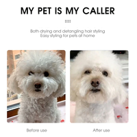Sèche-cheveux pour animaux de compagnie Slicker Brush Toilettage pour chat et chien Professionnel Home Grooming Furry Drying Portable Dog Blower