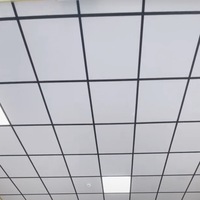 Panneaux de plafond en plâtre laminé PVC décoratifs pour plafonds suspendus résistants à l'humidité