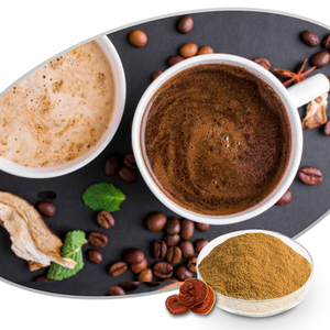 100% tinh khiết Polysaccharide <span class=keywords><strong>Ganoderma</strong></span> lucidum Reishi Nấm chiết xuất 10%-50% nồng độ có sẵn chai trống 10% 20% - Product Image 3