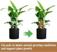 Bâton de mousse de coco 100% biodégradable sans plastique, Totem de 16 pouces pour fournitures de jardin
