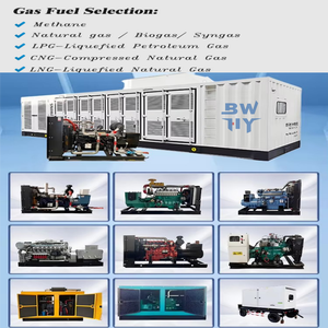 Generador de 250kW 312kVA a Gas Natural/GLP/Biogás, CE ISO, Suministro OEM Personalizado al por Mayor, Precio de Fábrica, 50/60Hz, Preparado para Conexión en Paralelo - Product Image 6