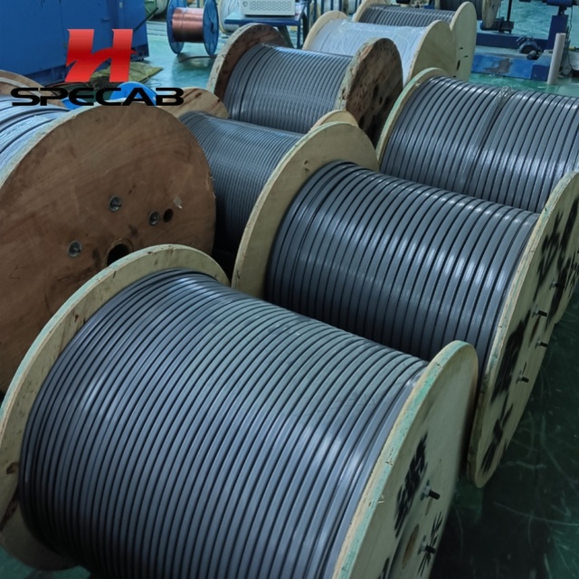 CE Certified Festoon Cable Flat Traveling Cable 4 Core 2.5mm² PVC/PUR with Steel Rope for Overhead Crane Hoist Trolley System