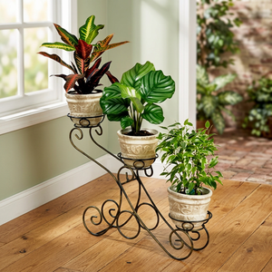 Luxury Modern Metal Plant Stand 3 Tier Flower <b>Pot</b> <b>Holder</b> Elegant Black Iron Display Rack for Indoor Outdoor Home Decor - Product Image 4