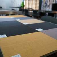 Vente en gros écologique de panneaux muraux en bois de placage pour fond de TV chambre et salle de bain avec finition anti-corrosion pour hôtels