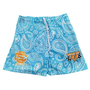 Guangdong origin shorts custom logo wholesale xxxl mens blank board active gym shorts with pockets