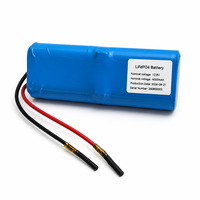 Batteries lithium-ion 12,8 V 4 Ah, pack de batteries LiFePO4 avec coque en PVC, pour la sauvegarde d'alimentation des systèmes de communication et l'alimentation des onduleurs