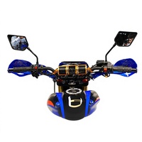 Potente Motocicleta Todoterreno de 250cc y 4 Tiempos para Carreras de Adultos con Horquillas Delanteras Invertidas y Suspensión Trasera Monoshock en Venta